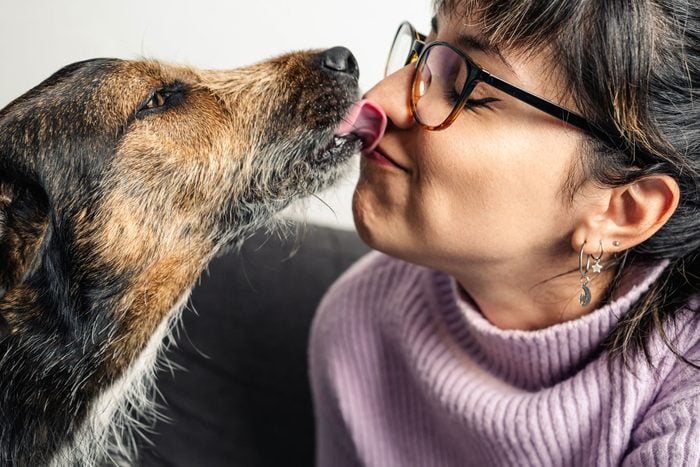 The Best Dog Lick Mats 2023, According to a Pet Expert