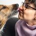 Why Do Dogs Lick You? 4 Reasons a Dog May Lick You