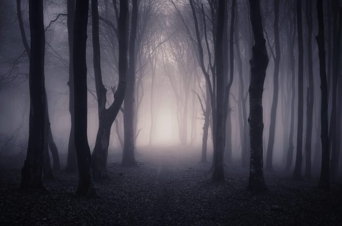 Mysterious Disappearances No One Can Explain | Reader's Digest