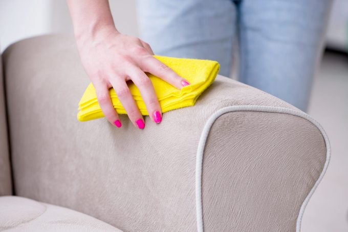 hand held fabric couch cleaner｜TikTok Search