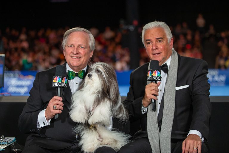 BehindtheScene Secrets from the National Dog Show Reader's Digest