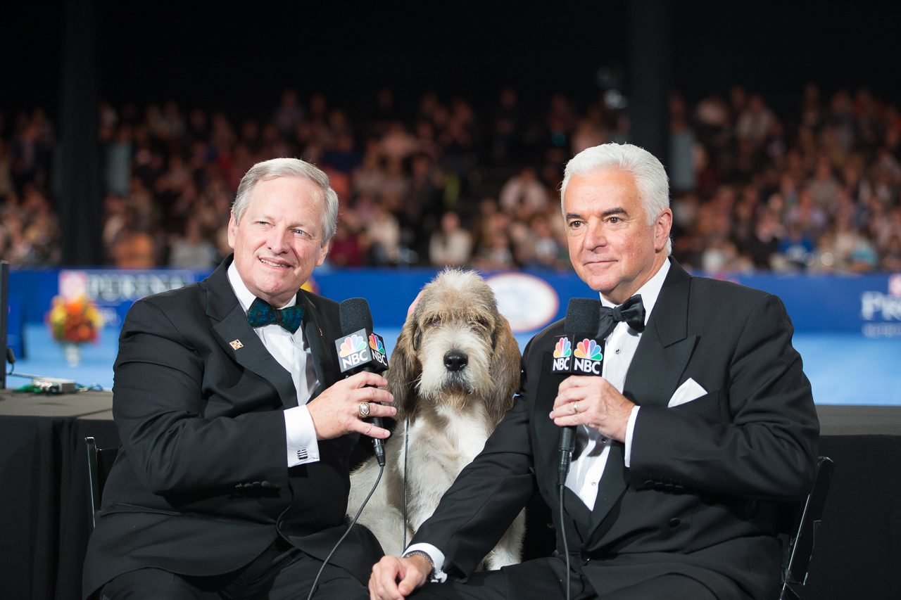 Dog Show Hosts Share Their Most Interesting Moments Reader's Digest