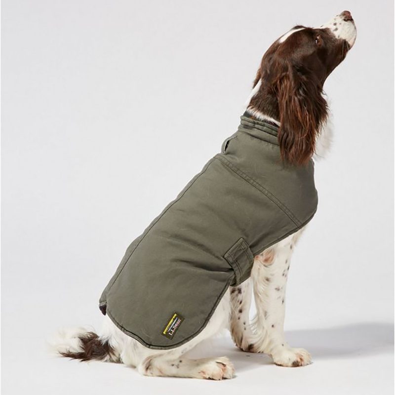 Coziest Dog Coats for Winter Reader's Digest