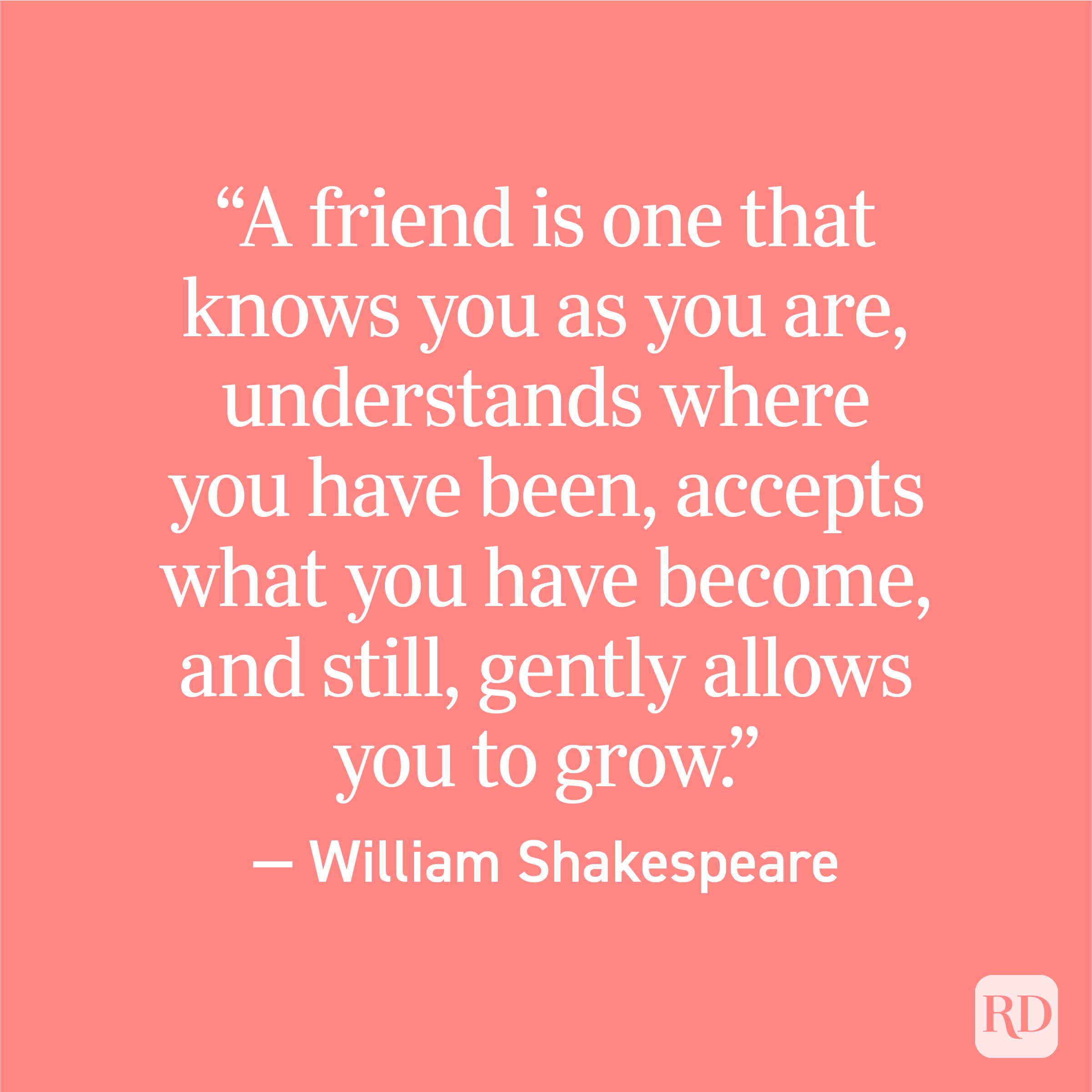 66 Friendship Quotes To Share With Your Bestie — Best Friend Quotes 