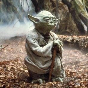 Yoda in Star Wars Episode V - The Empire Strikes Back (1980)