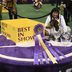 Here's How Much Money Westminster Dog Show Winners Earn
