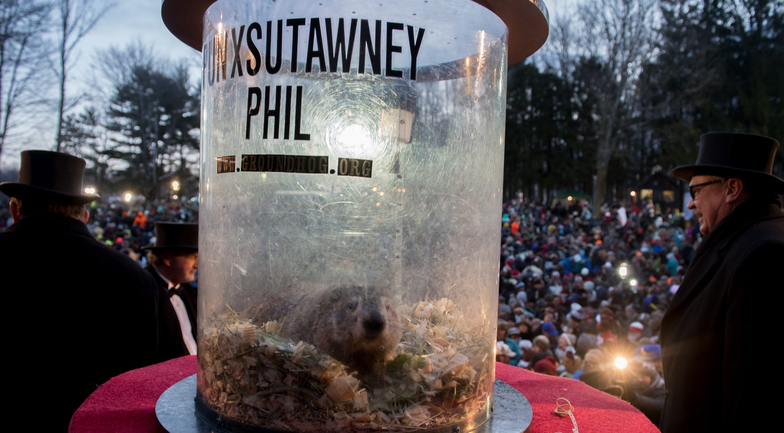 How Accurate Are Punxsutawney Phil's Predictions? Reader's Digest