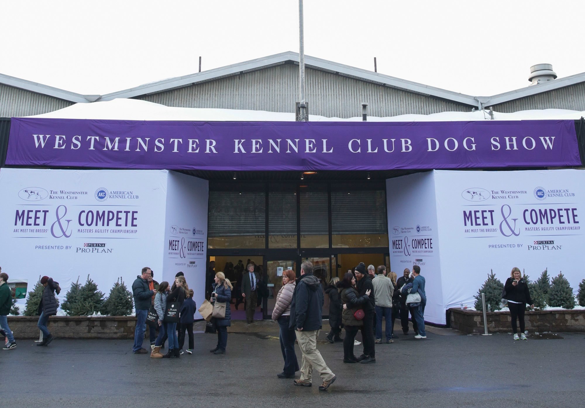 The Newest Breeds at the Westminster Dog Show Reader's Digest