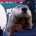 How Accurate Are Punxsutawney Phil's Predictions?