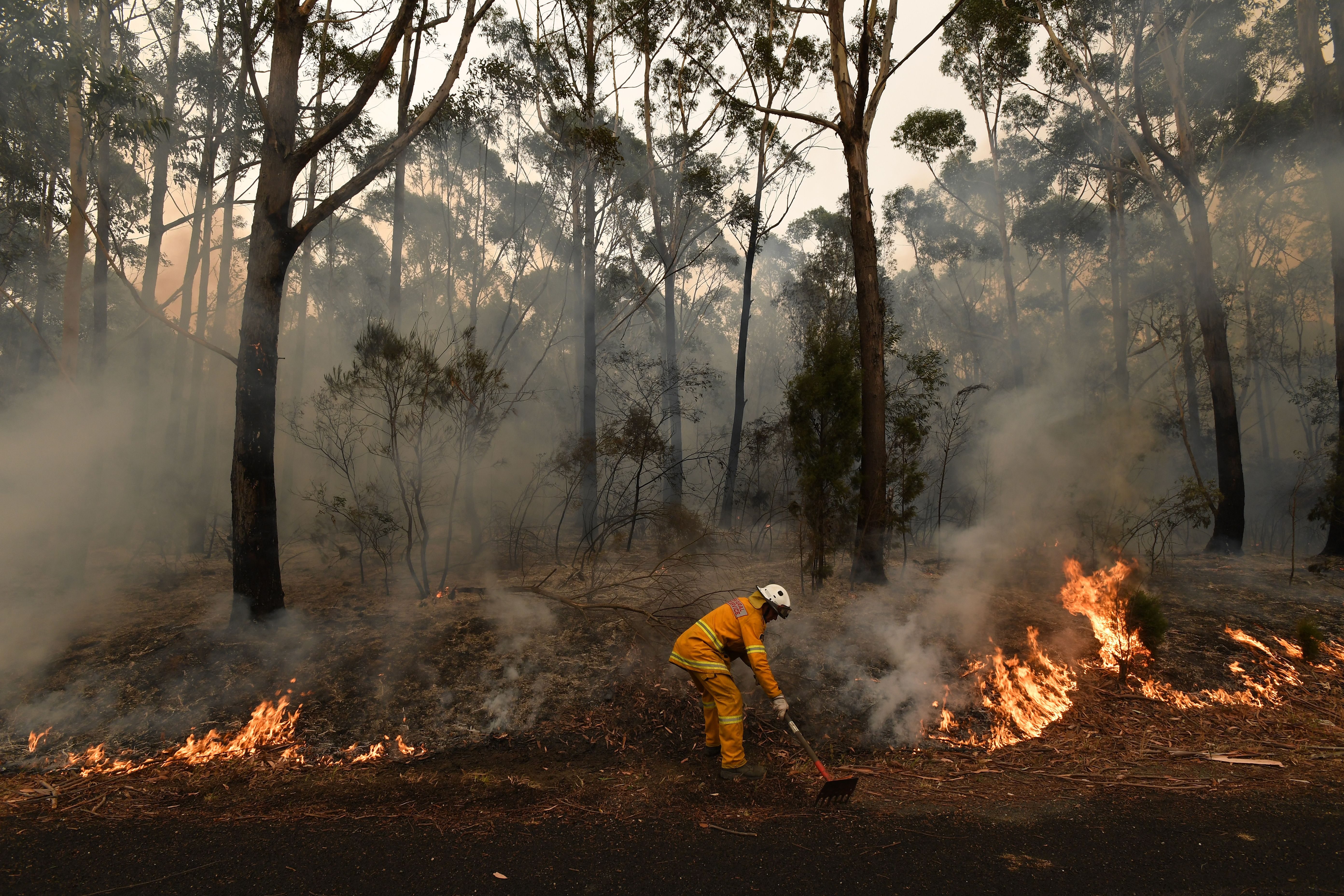 What the Australian Bushfires Mean for the World Reader