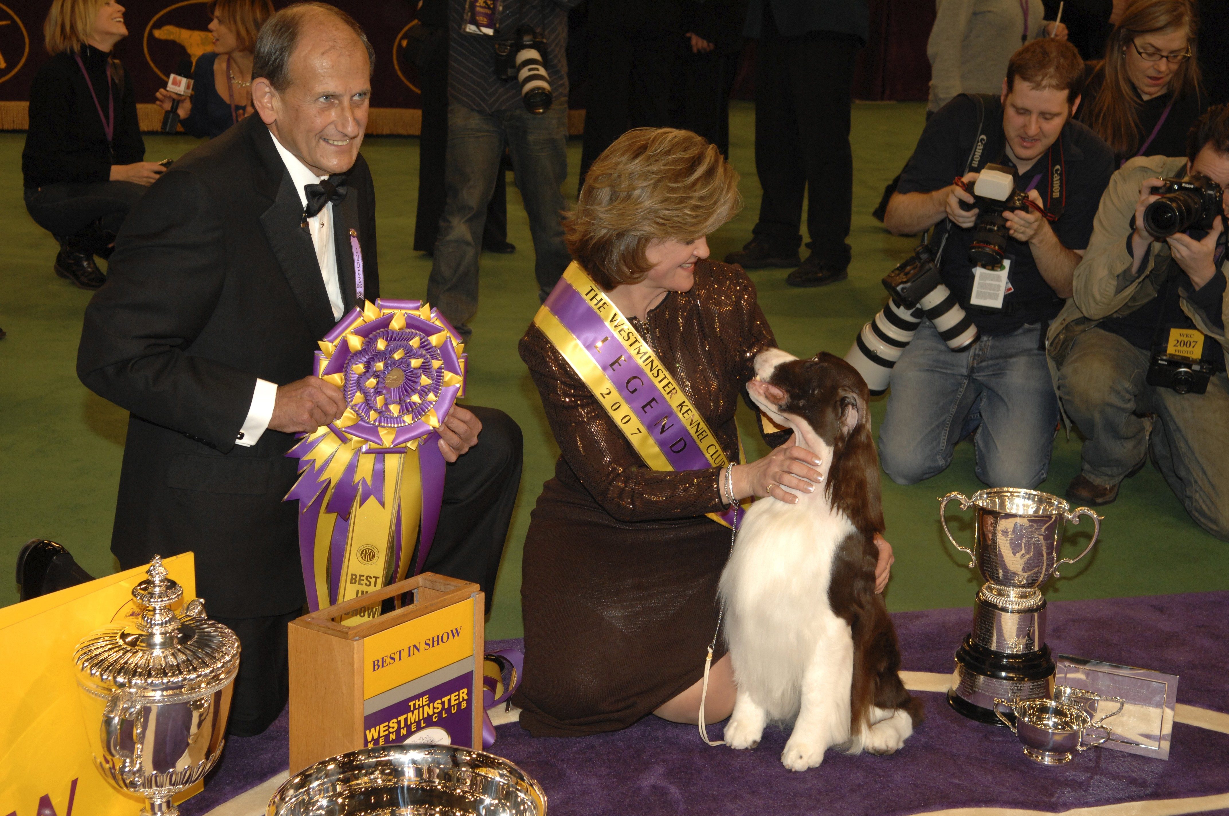 westminster dog show all winners
