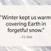 55 Cozy Winter Quotes to Help You Embrace the Season