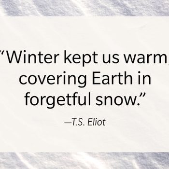 Ts Eliot Cozy Winter Quote