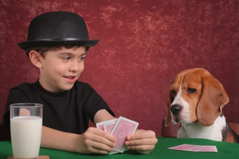 개와 소년 카드 놀이