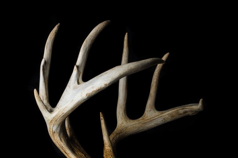 antler tsa002