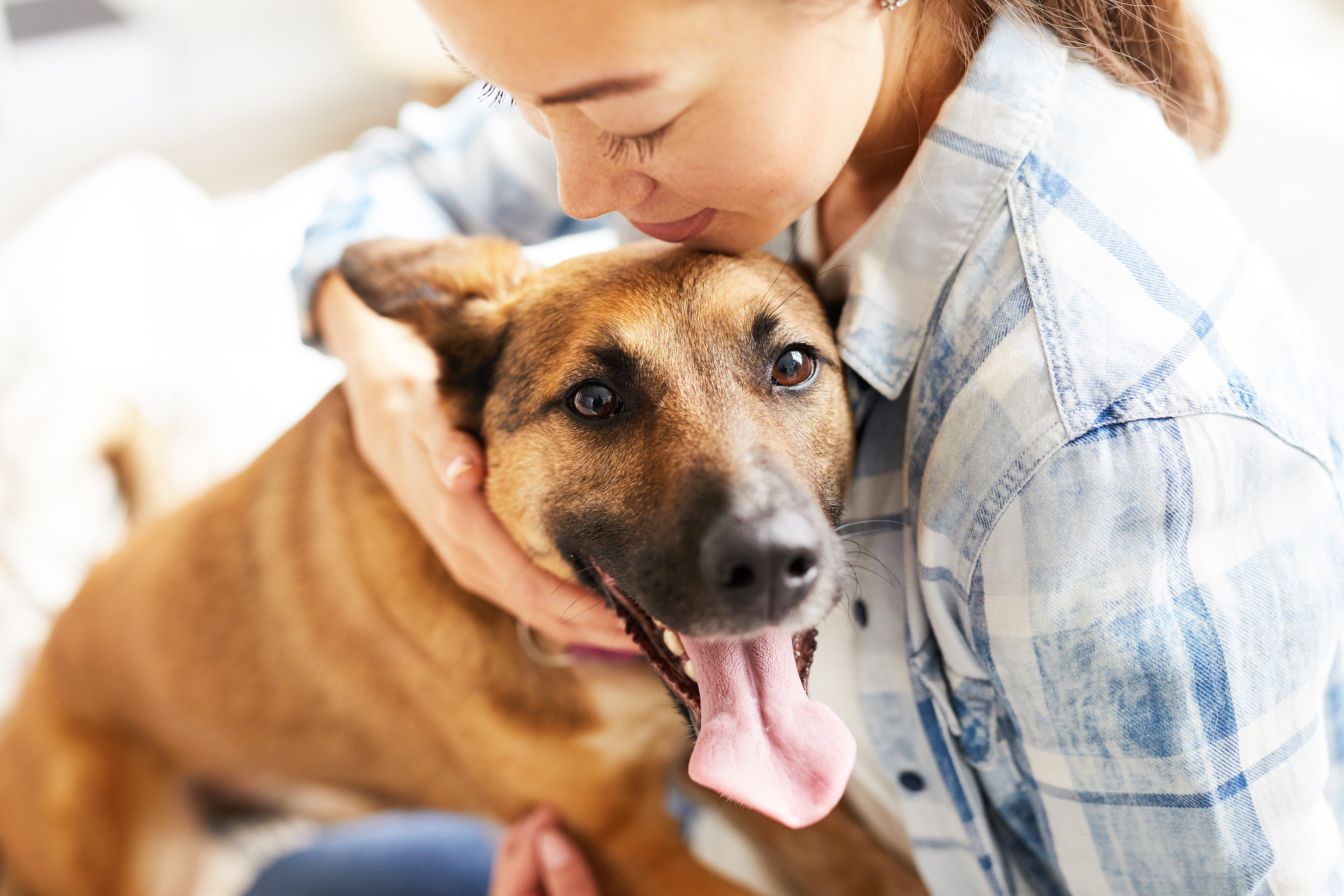 Why Dogs Are More Loyal Than Humans