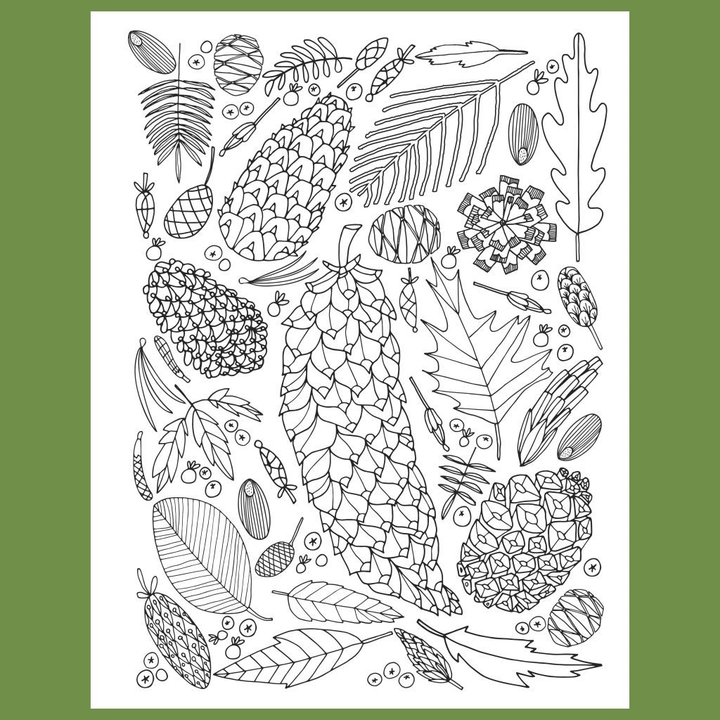 30 Coloring Pages You Can Print At Home For Free Reader S