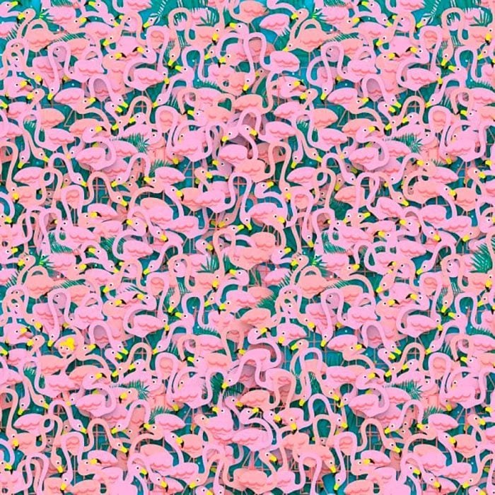 find the hidden ballerina among the flamingos puzzle