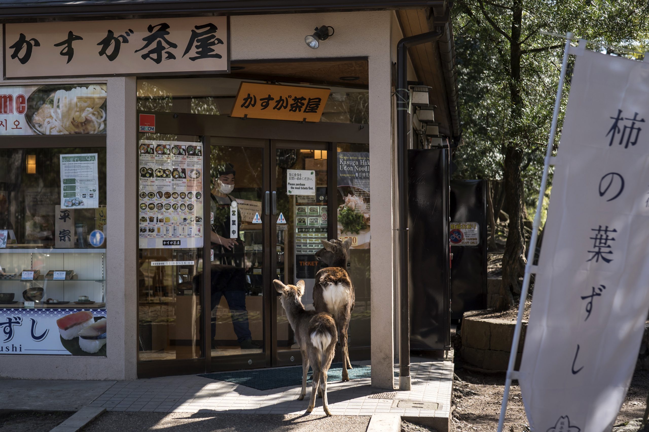 Tourism In Japan Plagued By The Coronavirus Outbreak