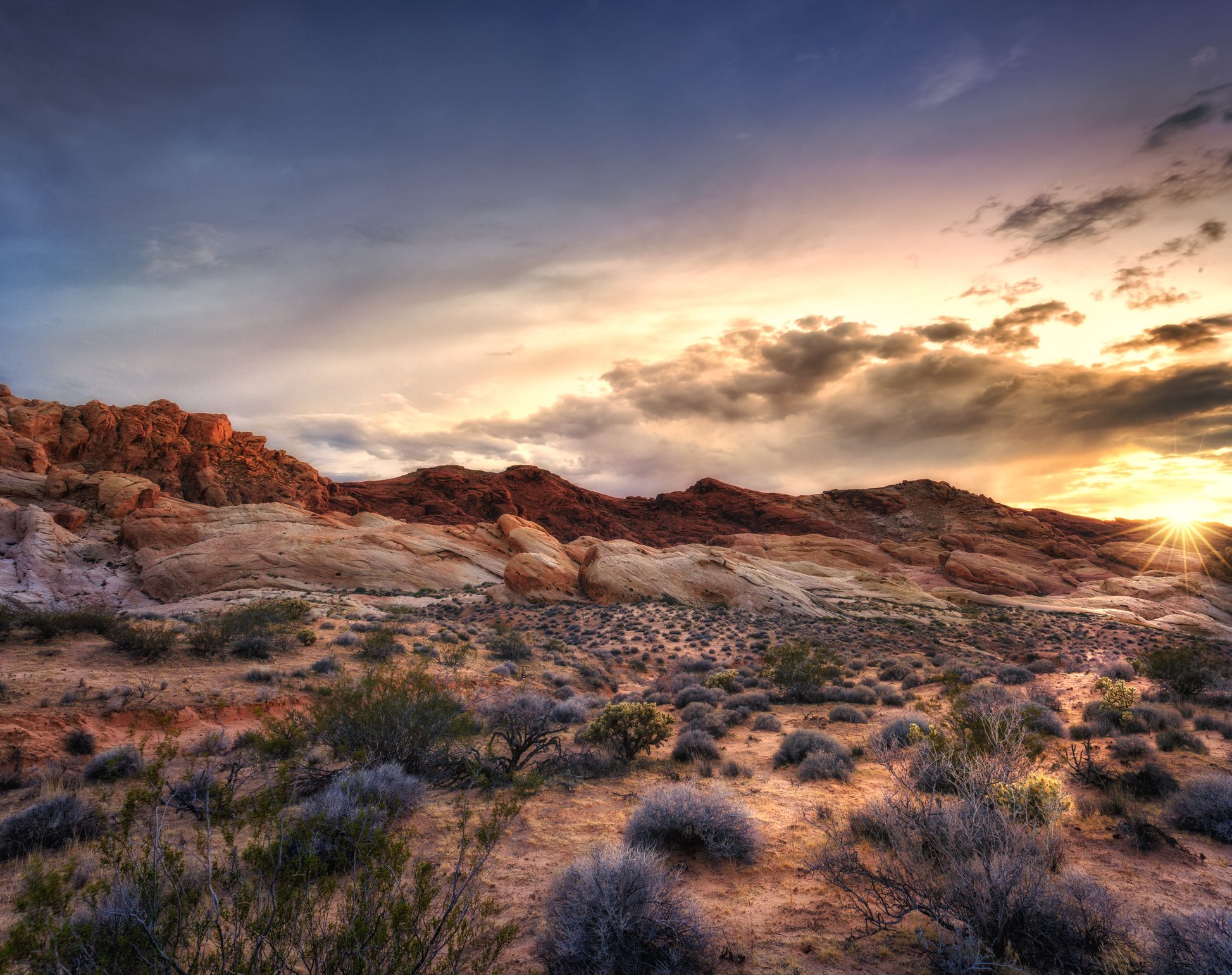 Desert Landscapes That Look Like Paintings | Reader's Digest