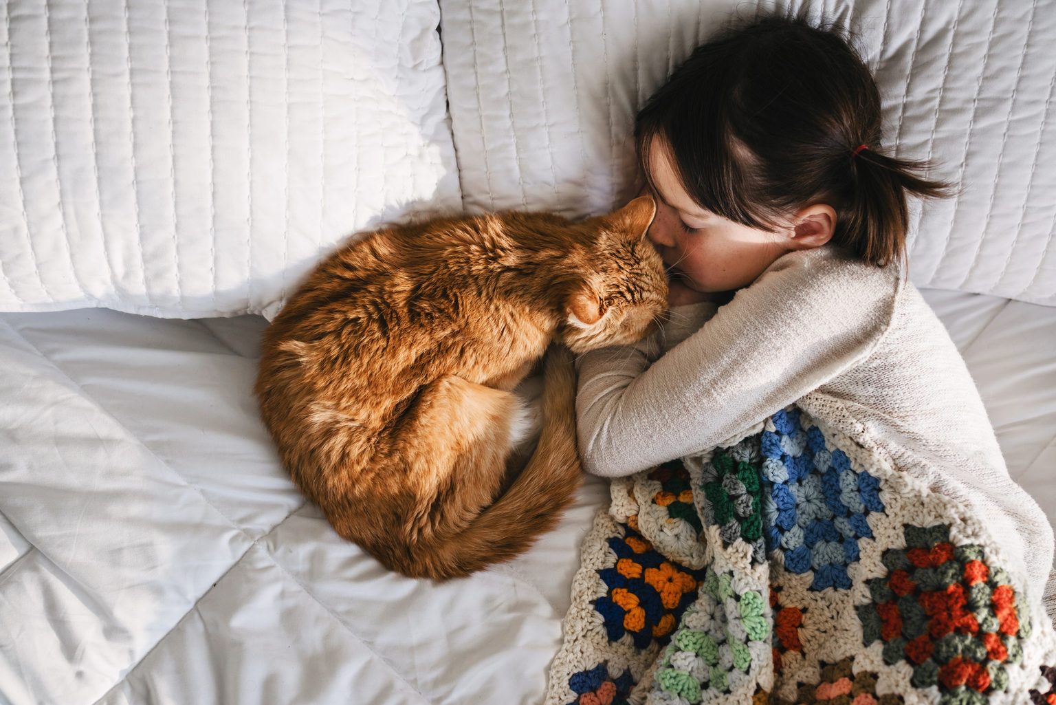 Should You Let Your Cat Sleep in Your Bed? | Reader's Digest