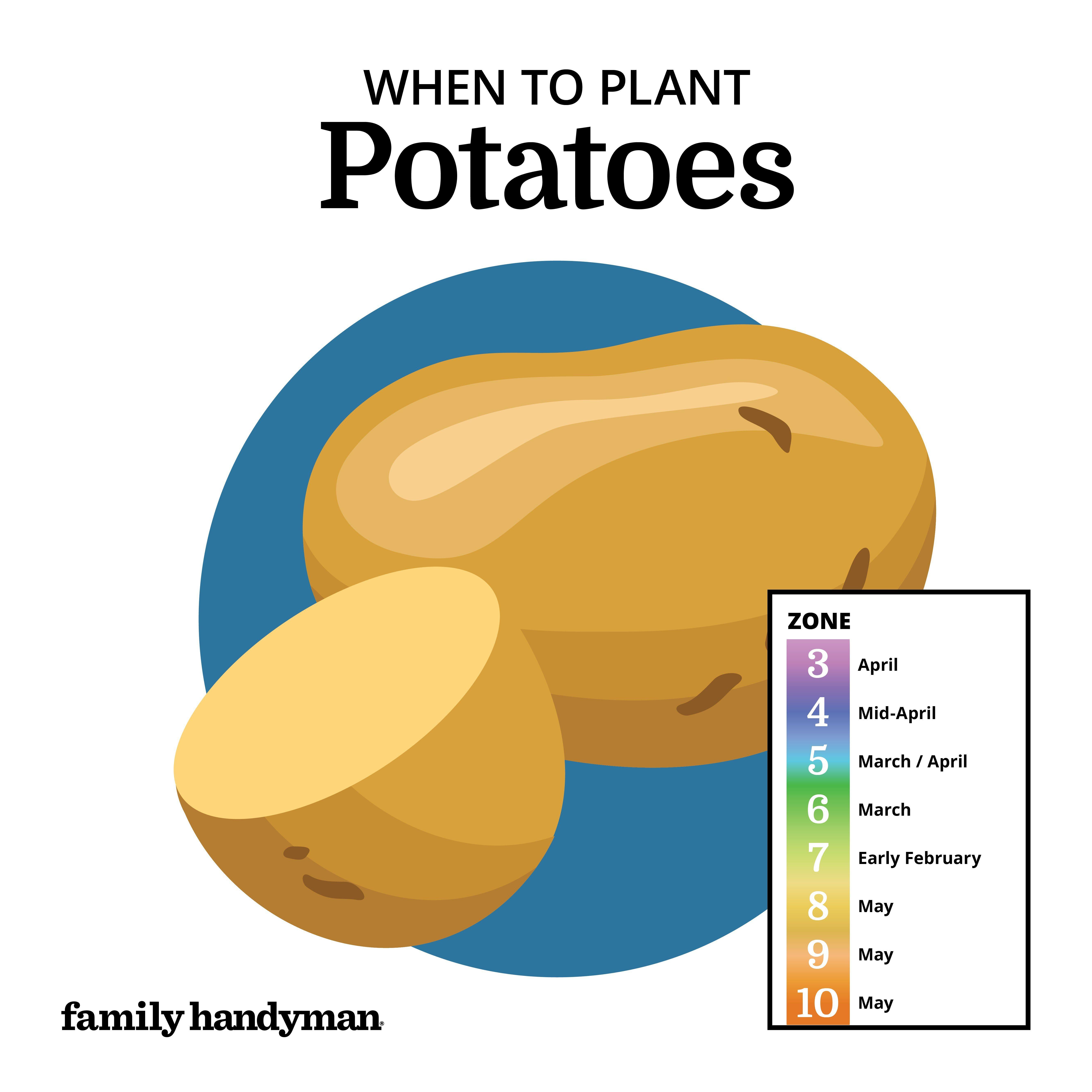 When to Plant Potatoes in PA: A Comprehensive Guide - PlantHD