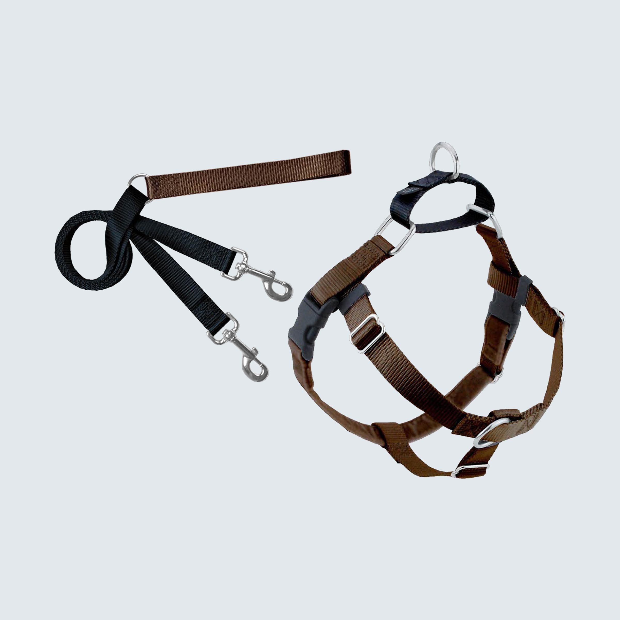 13 Best Dog Harnesses of 2024