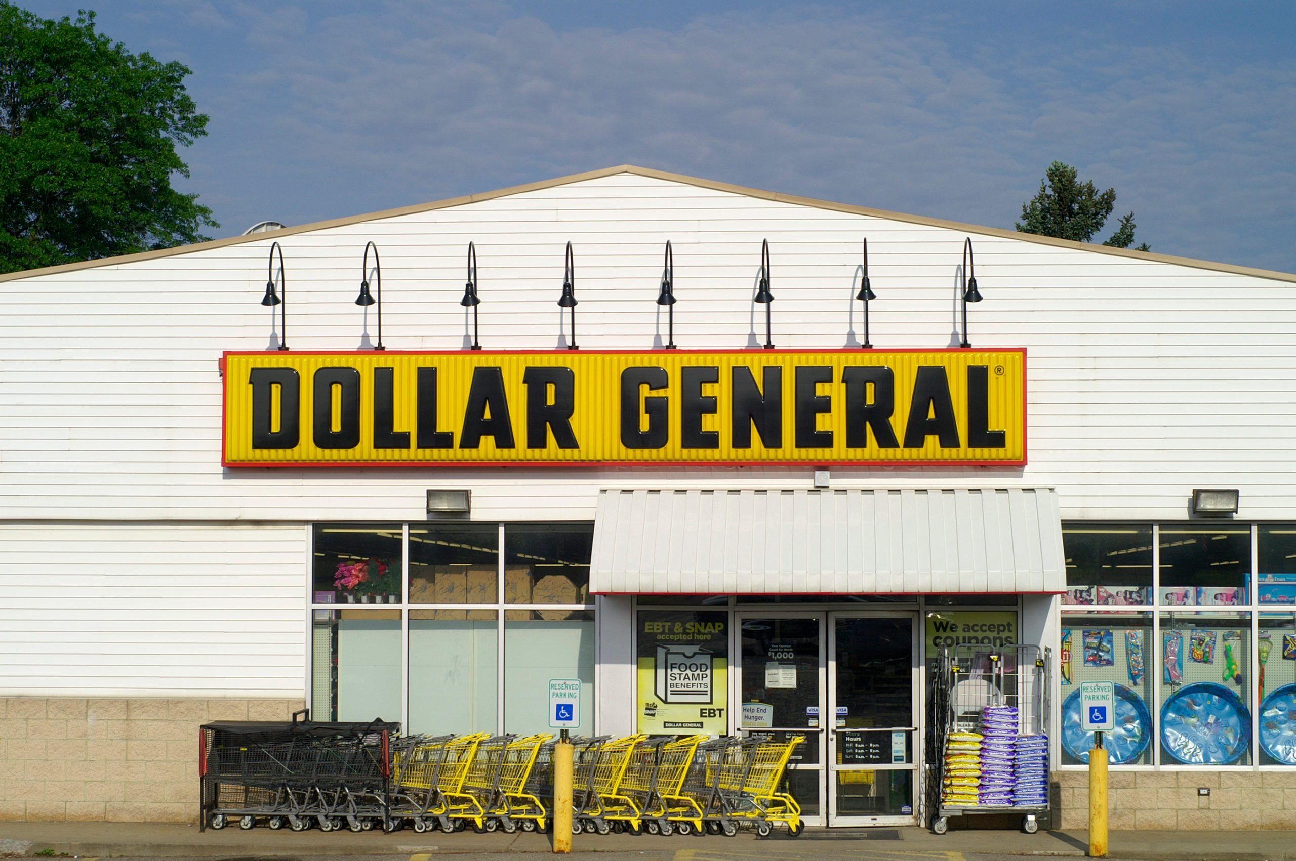 The Difference Between Dollar Tree and Dollar General