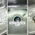 This Cool Ice Cube Trick Will Completely Clear Your Stinky Garbage Disposal