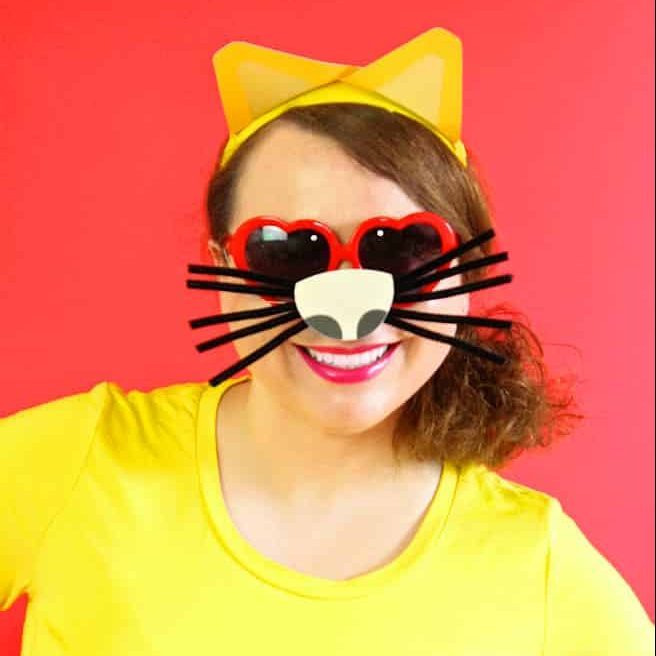 Diy Emoji Cat Face Costume