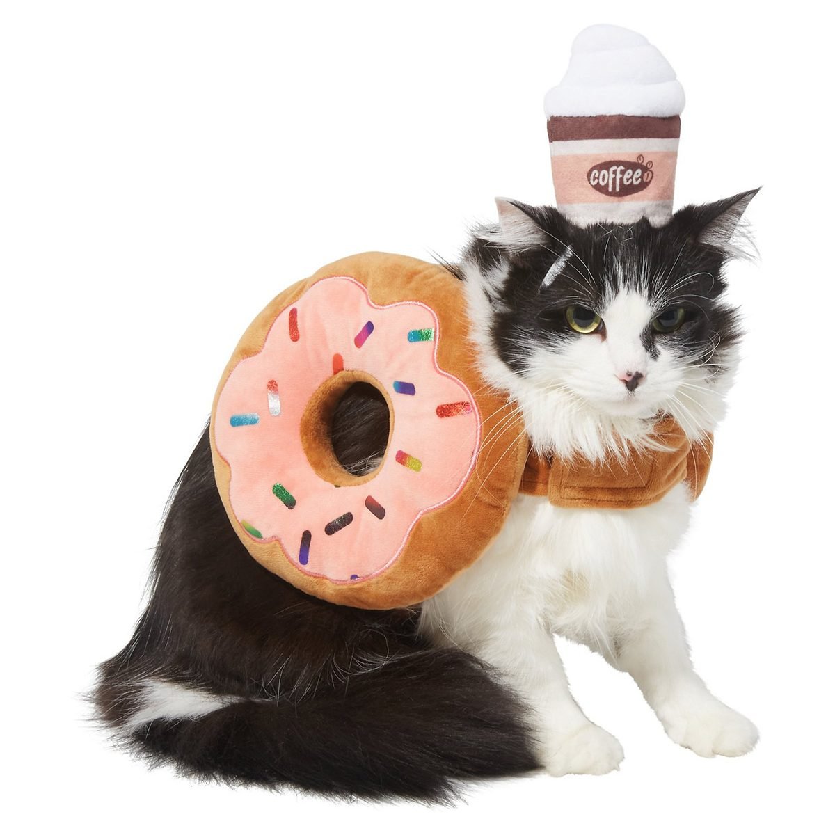 Cat wearing donut and coffee costume