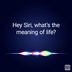 91 of the Funniest Things to Ask Siri