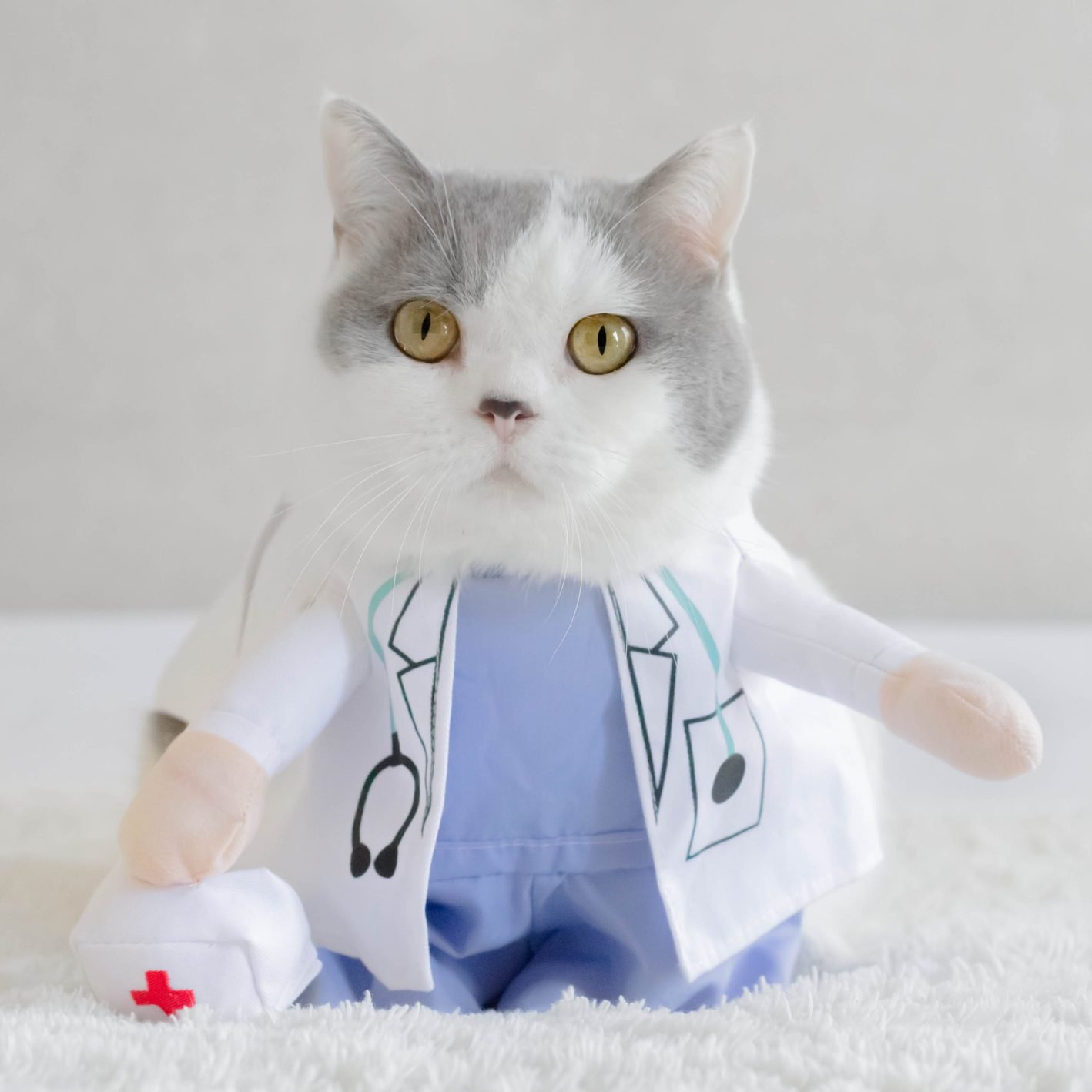 The 30 Best Cat Halloween Costumes Of 2022 By PEOPLE | annadesignstuff.com