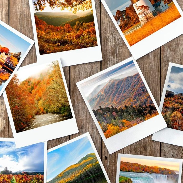 Fall Foliage photo collage