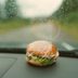 Why You Should Never Leave Food in the Car