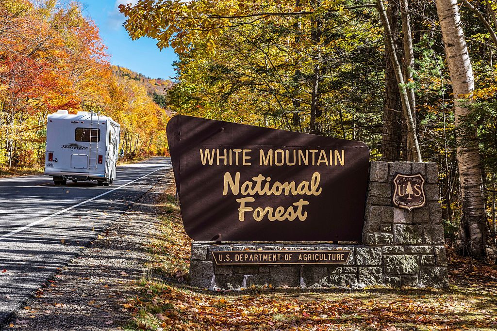 white mountain driving tour