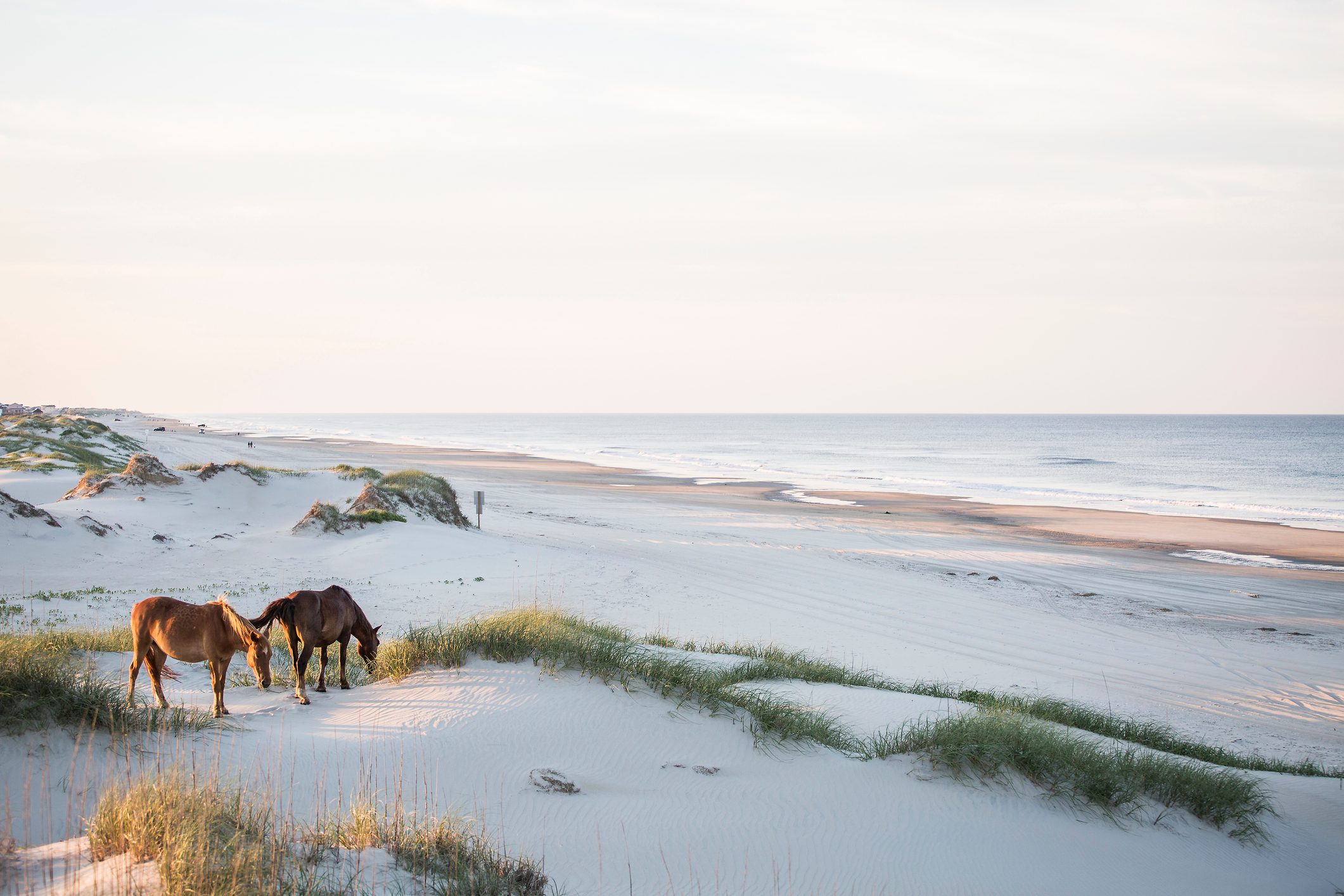 Your Guide to an Outer Banks Road Trip  Trusted Since 1922