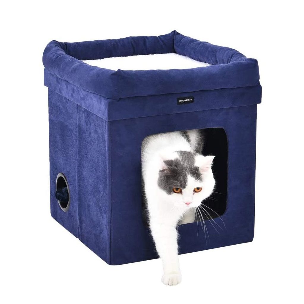 Best Cat Beds | Reader's Digest