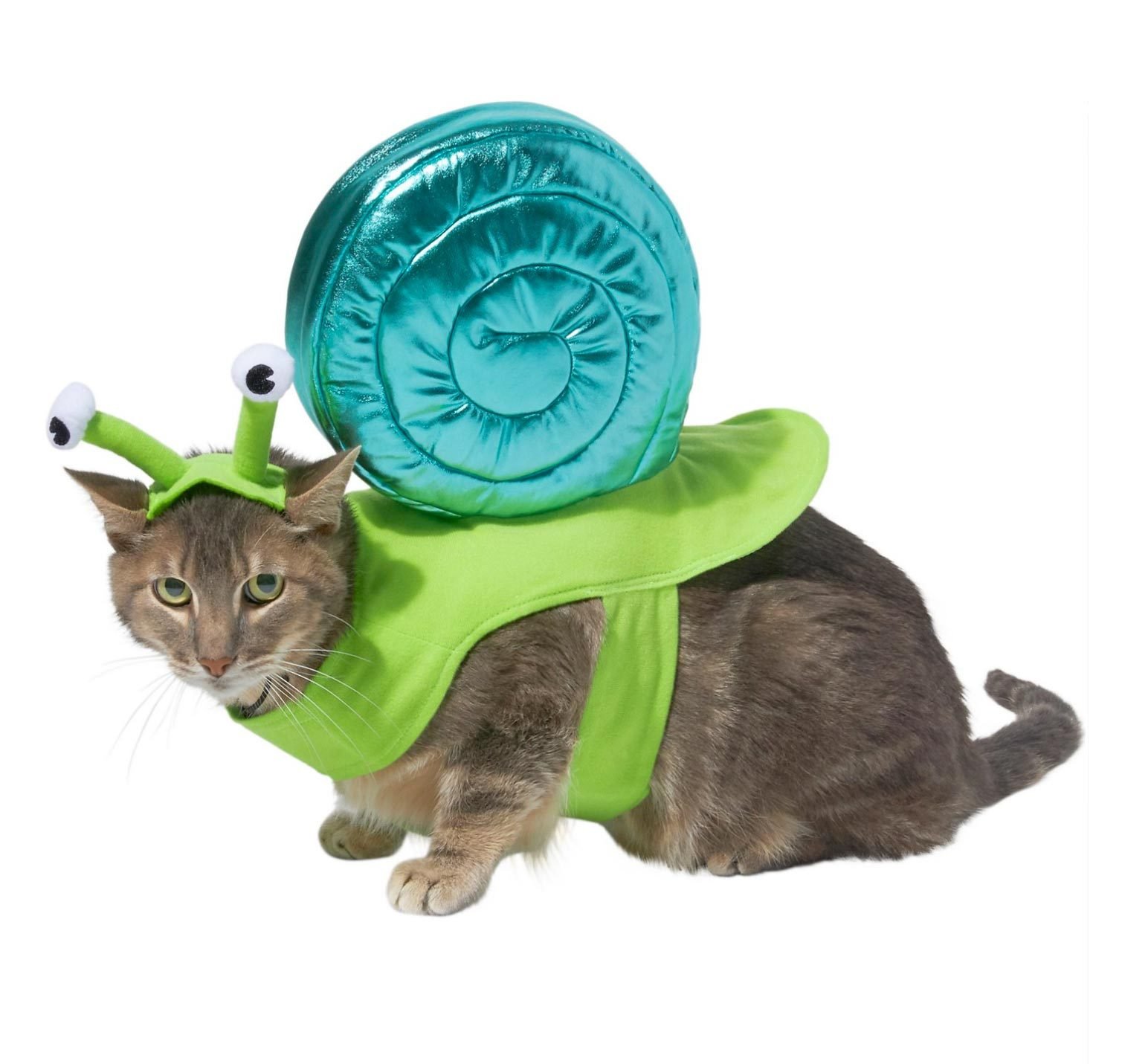 Cat Snail Costume