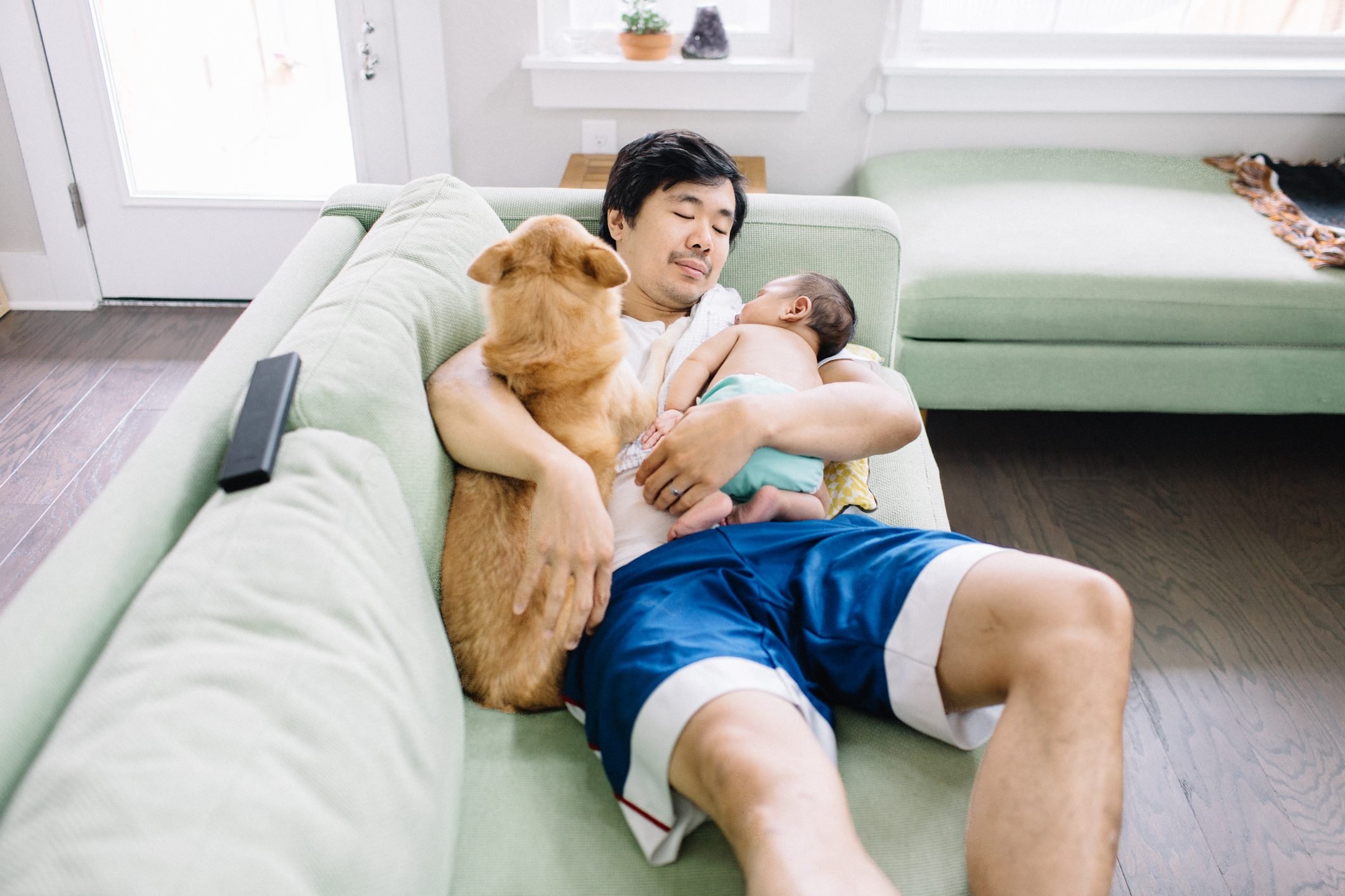 most-affectionate-dog-breeds-that-love-to-cuddle-reader-s-digest