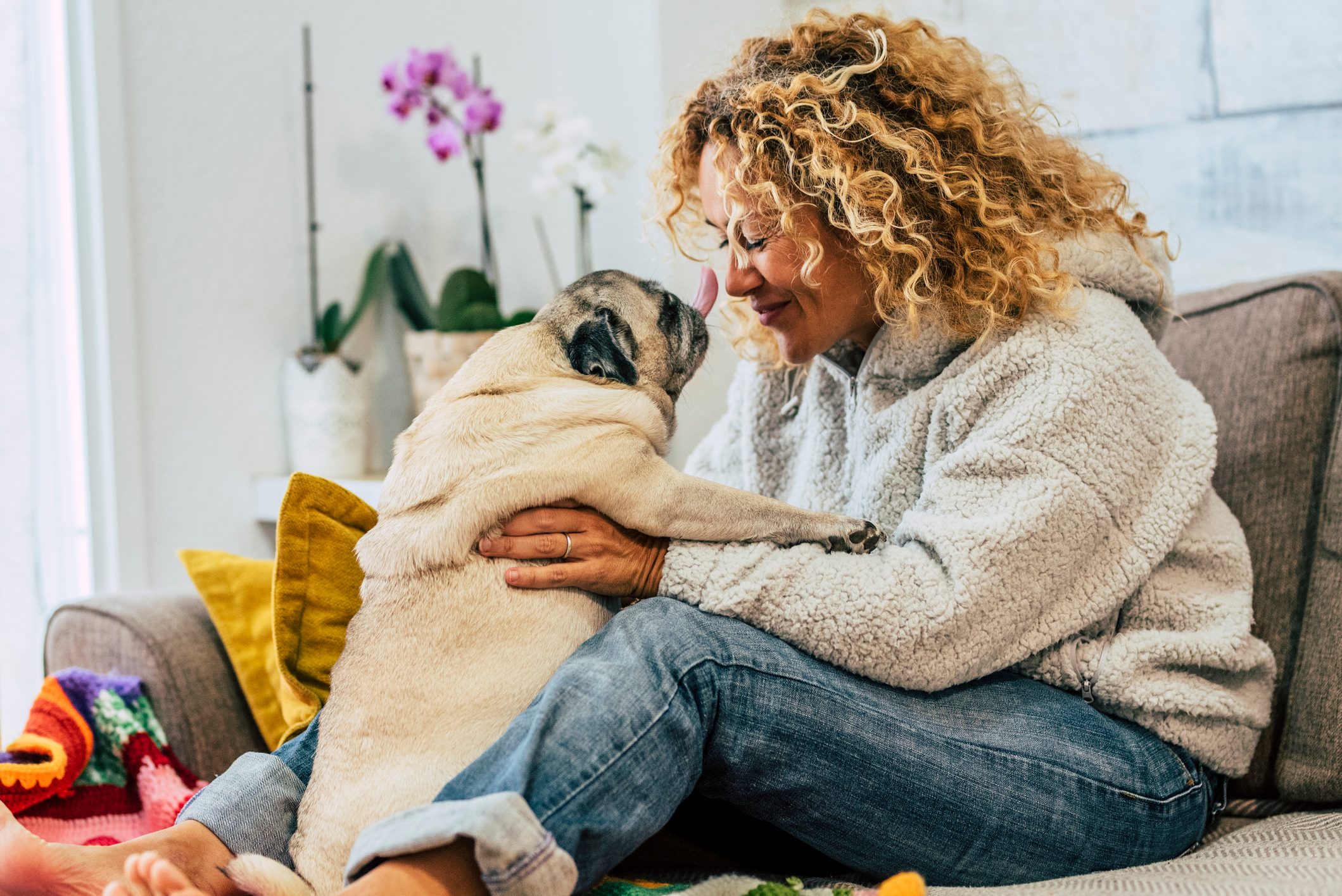 Most Affectionate Dog Breeds That Love to Cuddle | Reader's Digest