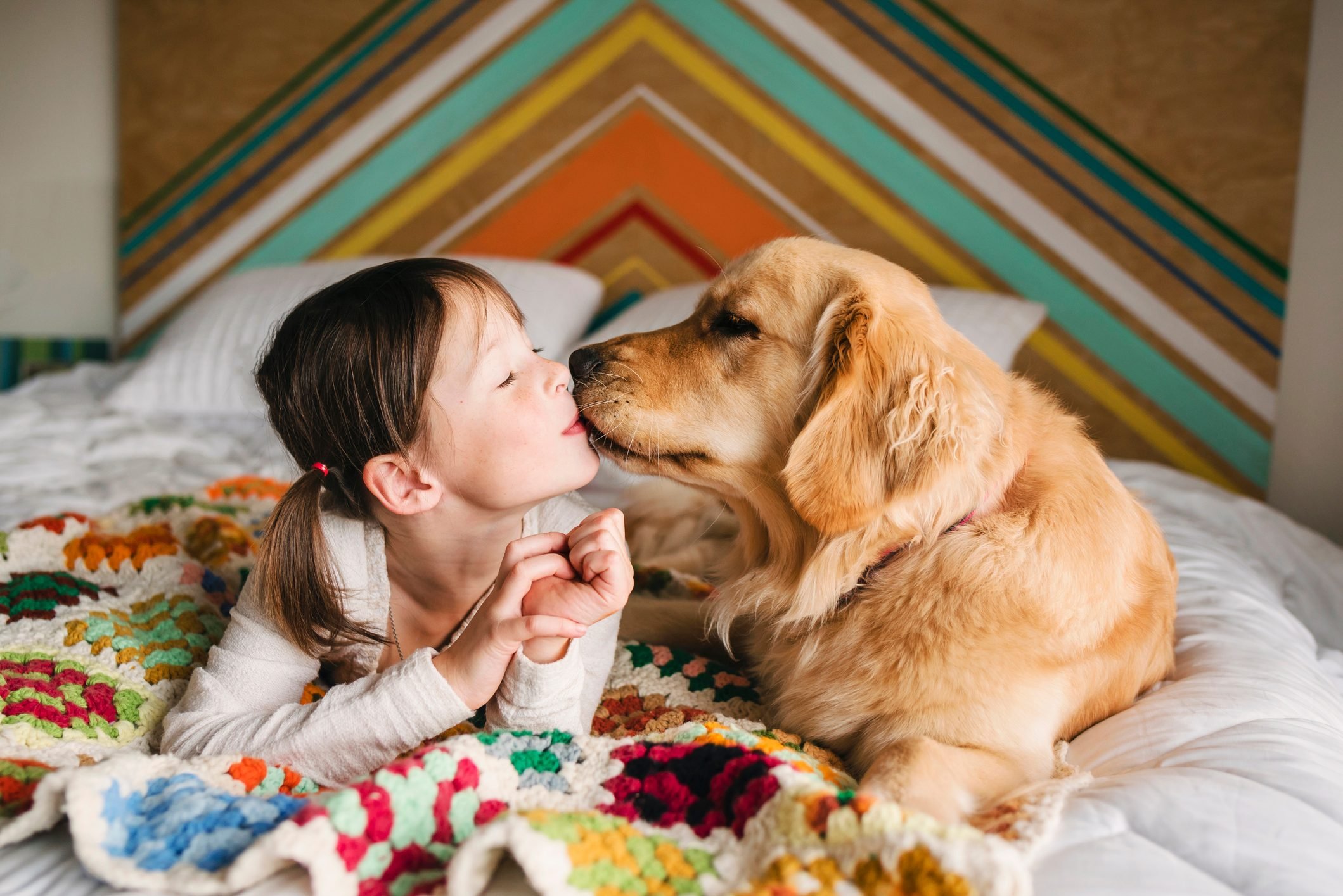 10 Most Popular Hound Dog Breeds - In Love With All Things Cozy