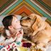 16 Most Affectionate Dog Breeds That Love to Cuddle