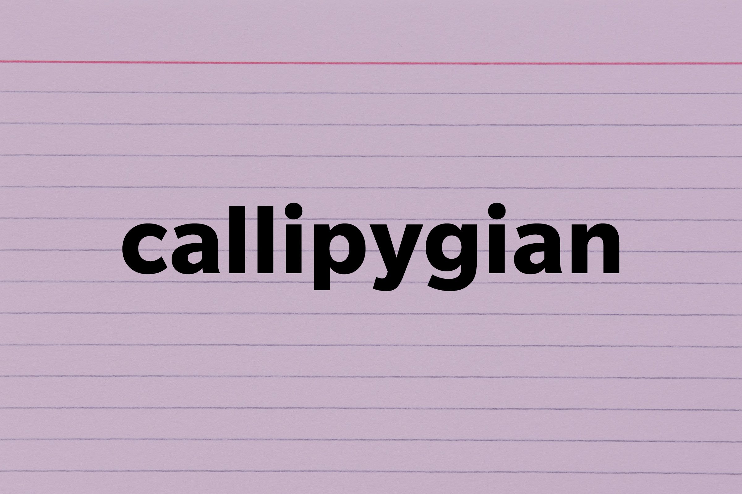callipygous definition  callipygous meaning - words to describe