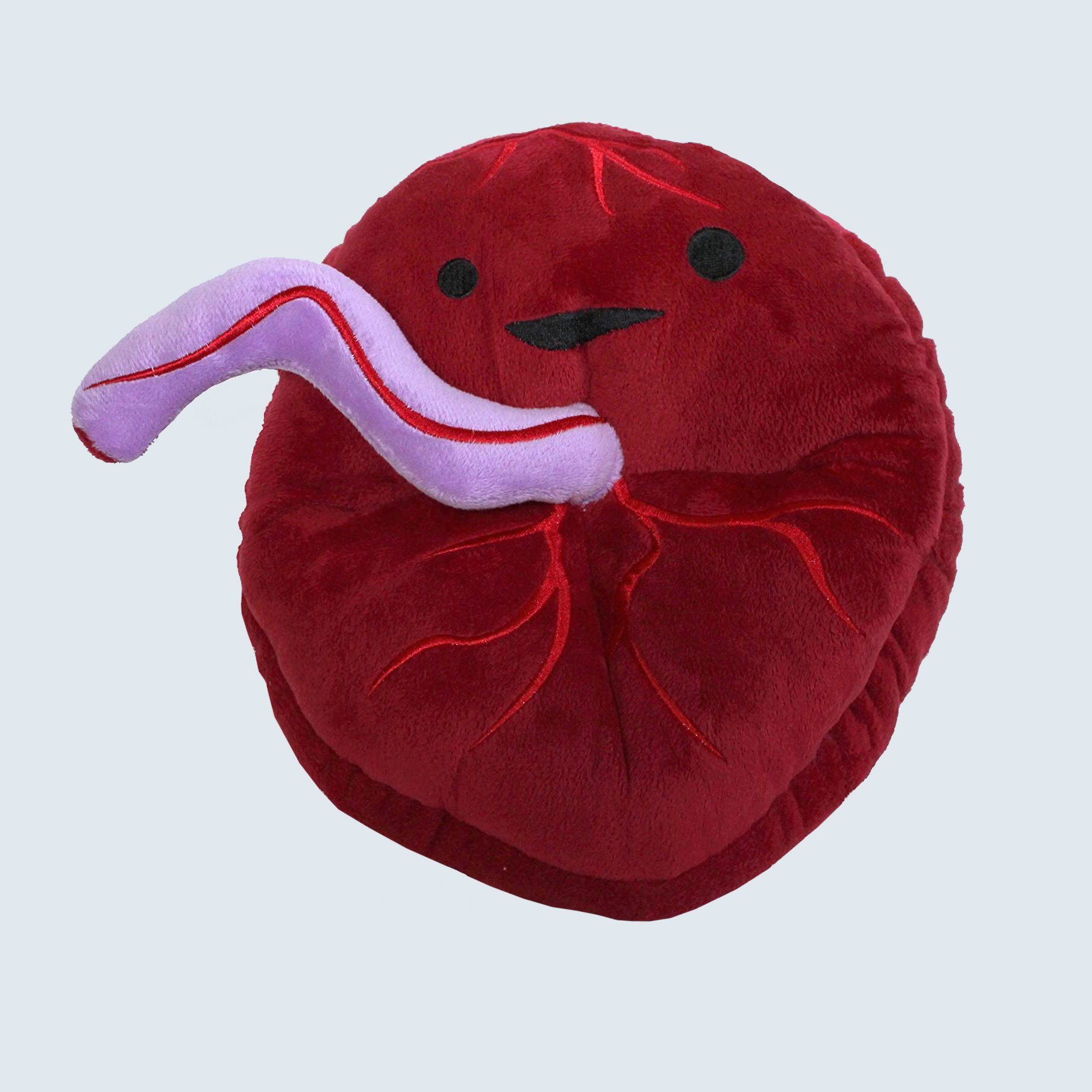 Placenta plush pillow