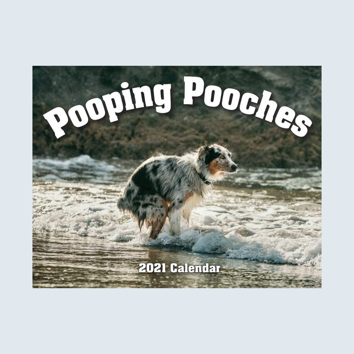 Pooping pooches calendar