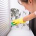 9 Cleaning Solutions to Get Mildew Out of Any Surface