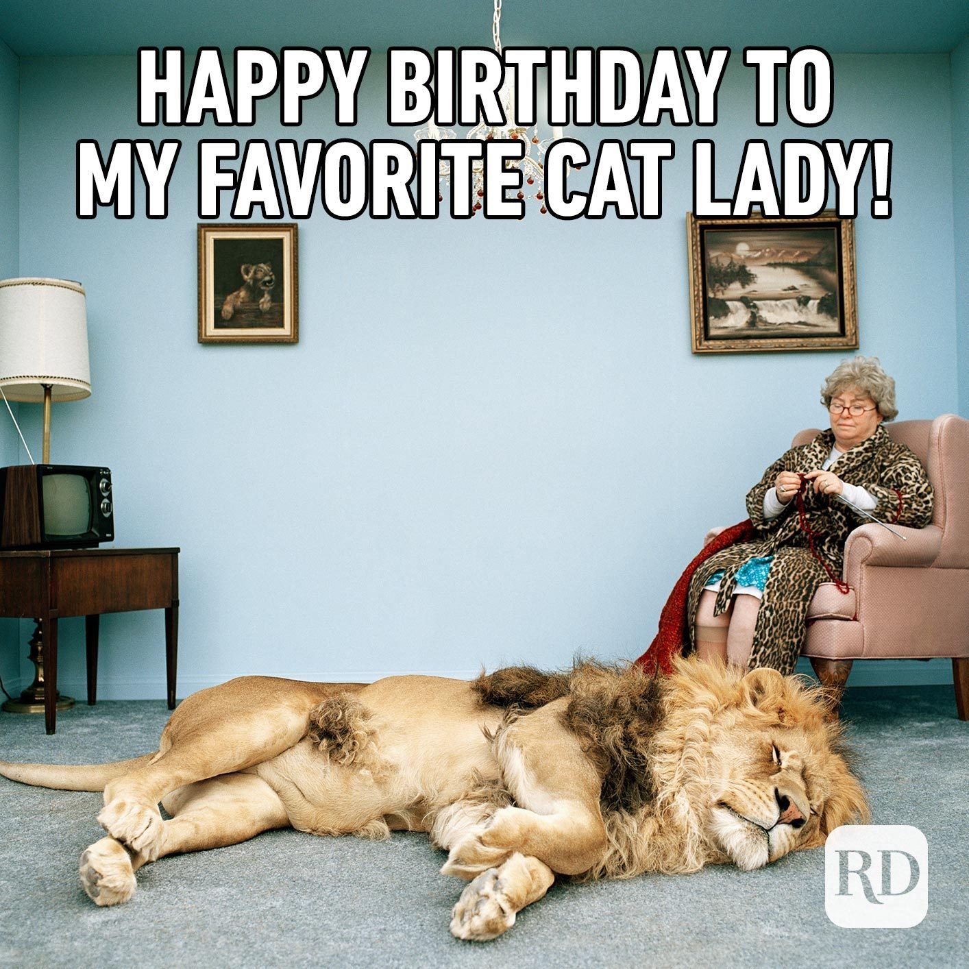 Happy Birthday to my favorite cat lady!