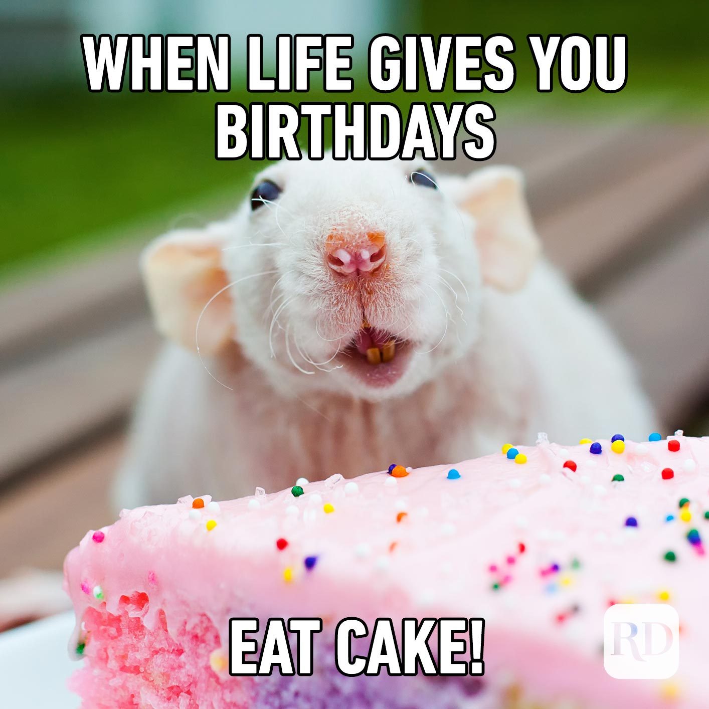 When life gives you birthdays, eat cake!