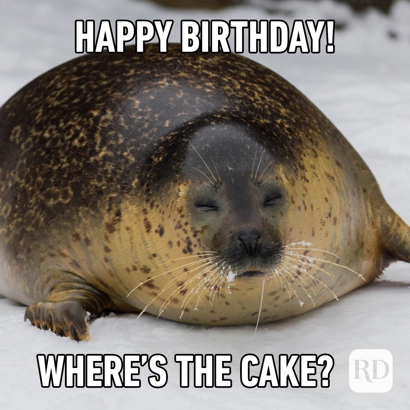Happy Birthday! Where's the cake?